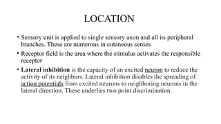 SENSORY TRANSDUCTION IN SKIN & PROPERTIES OF RECEPTOR (2).pptx
