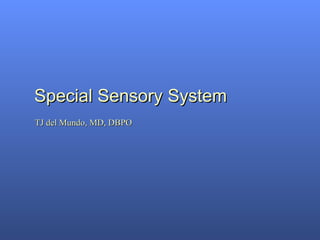 Special Sensory System TJ del Mundo, MD, DBPO 