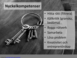Nyckelkompetenser 
• Hitta rätt (filtrera) 
• Källkritik (granska, 
bedöma) 
• Bygga nätverk 
• Samarbeta 
• Lösa problem 
• Kreativitet och 
entreprenörskap 
CC BY-NC-SA Some rights reserved by practicalowl 
 