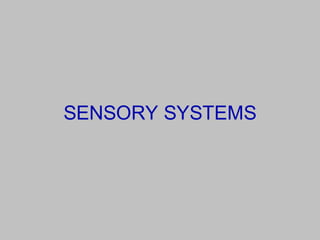 SENSORY SYSTEMS
 
