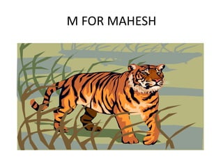 M FOR MAHESH
 