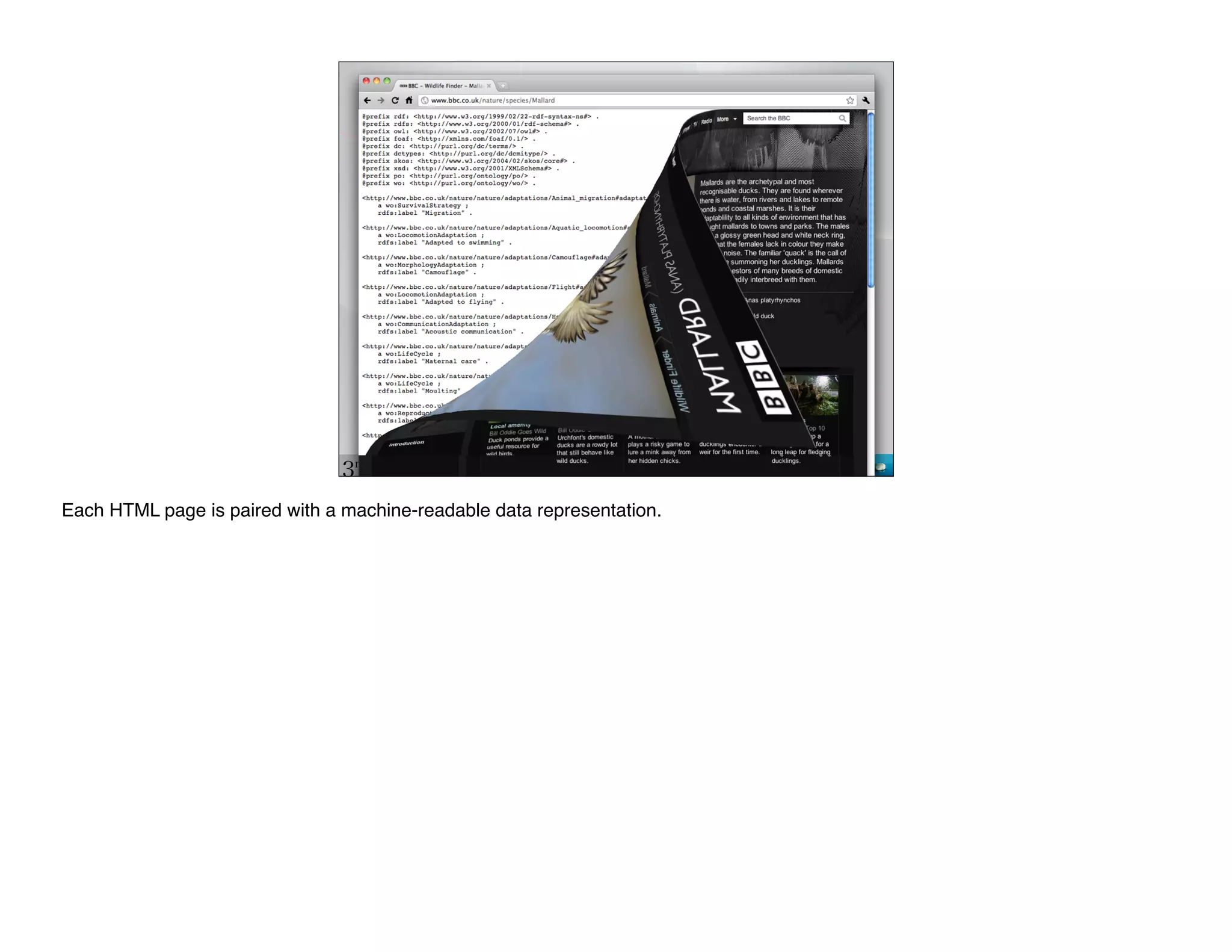 Each HTML page is paired with a machine-readable data representation.
 