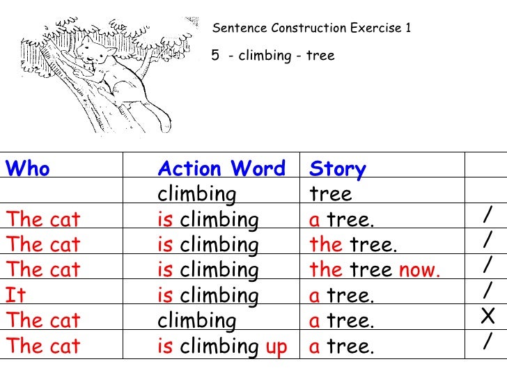 section-a-sentence-construction