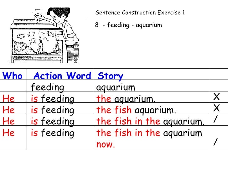 SECTION A SENTENCE CONSTRUCTION