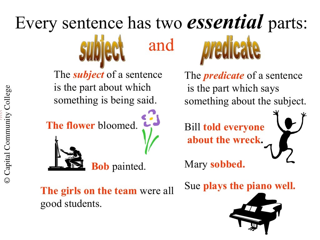 What sentences. No any every правило. Definitions in english. Every sentence. Every sentence.