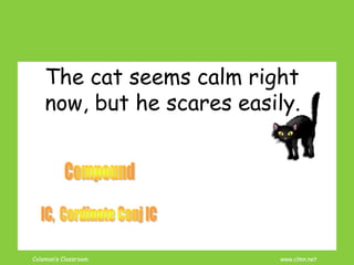 Coleman’s Classroom www.clmn.net
The cat seems calm right
now, but he scares easily.
 
