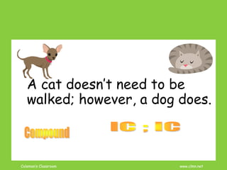 Coleman’s Classroom www.clmn.net
A cat doesn’t need to be
walked; however, a dog does.
 