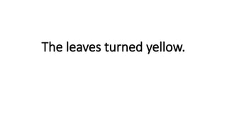 The leaves turned yellow.
 