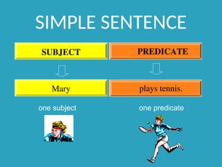 SIMPLE SENTENCE
Mary plays tennis.
SUBJECT PREDICATE
one subject one predicate
 