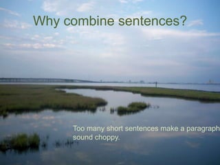 Why combine sentences?

Too many short sentences make a paragraph
sound choppy.

 