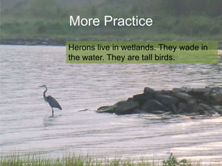 More Practice
Herons live in wetlands. They wade in
the water. They are tall birds.

 