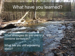 What have you learned?

What strategies do you use to
combine sentences?
What are you still wondering
about?

 