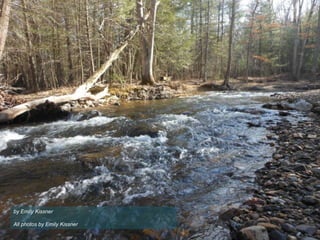 by Emily Kissner
All photos by Emily Kissner

 