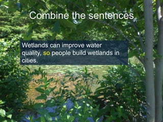 Combine the sentences
Wetlands can improve water
quality, so people build wetlands in
cities.

 