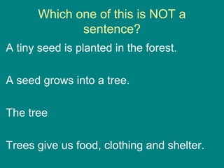 Which one of this is NOT a
sentence?
A tiny seed is planted in the forest.
A seed grows into a tree.
The tree
Trees give us food, clothing and shelter.
 