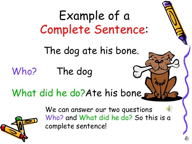 Sentences