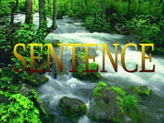 SENTENCE 