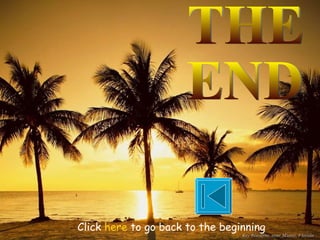 THE  END Click  here  to go back to the beginning 