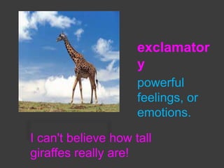 exclamator
y
powerful
feelings, or
emotions.
I can't believe how tall
giraffes really are!

 
