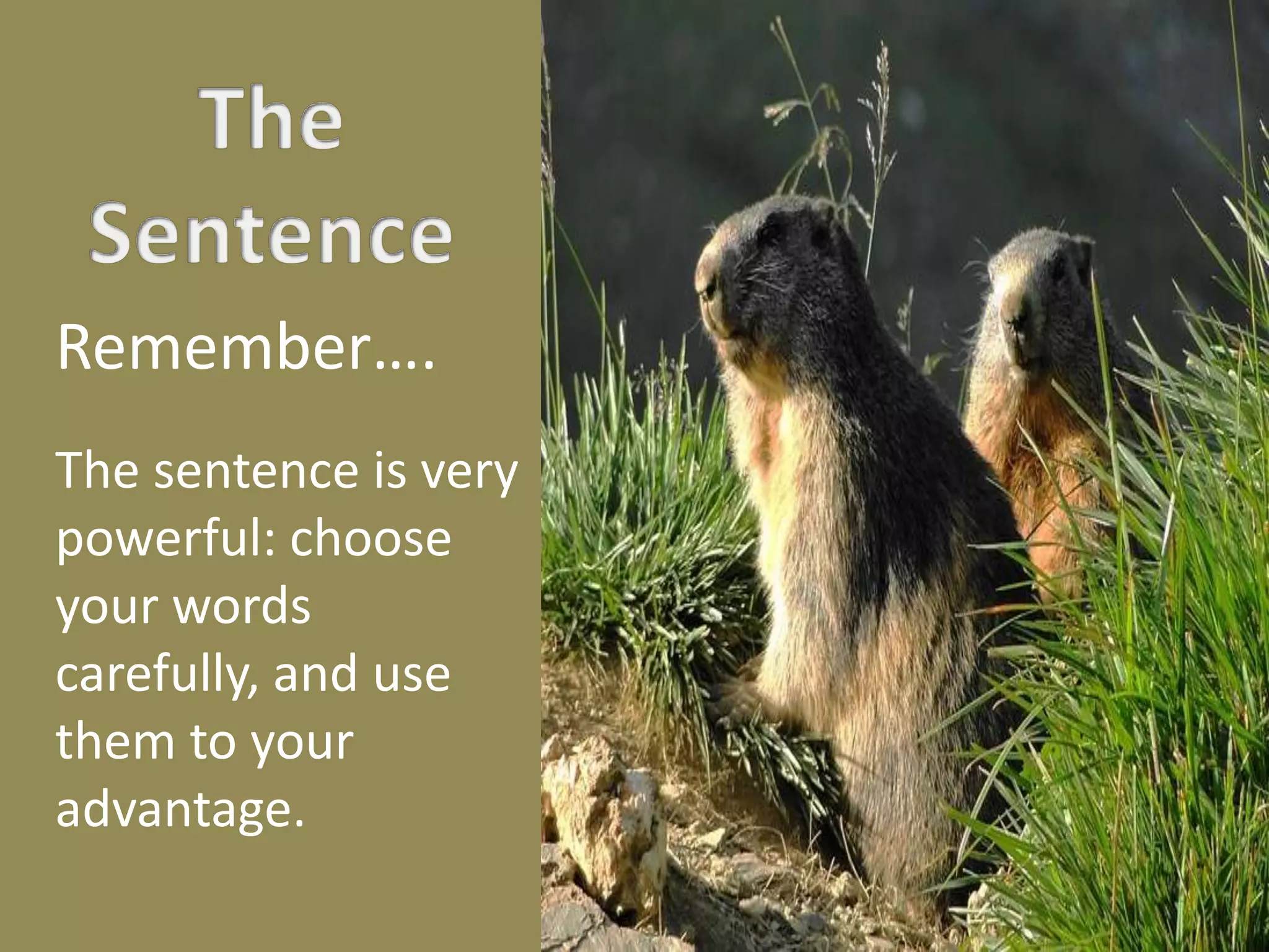Remember….
The sentence is very
powerful: choose
your words
carefully, and use
them to your
advantage.
 