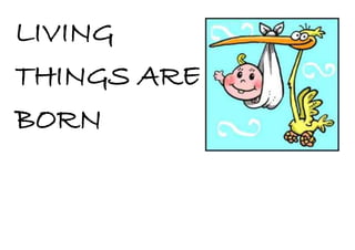 LIVING
THINGS ARE
BORN
 