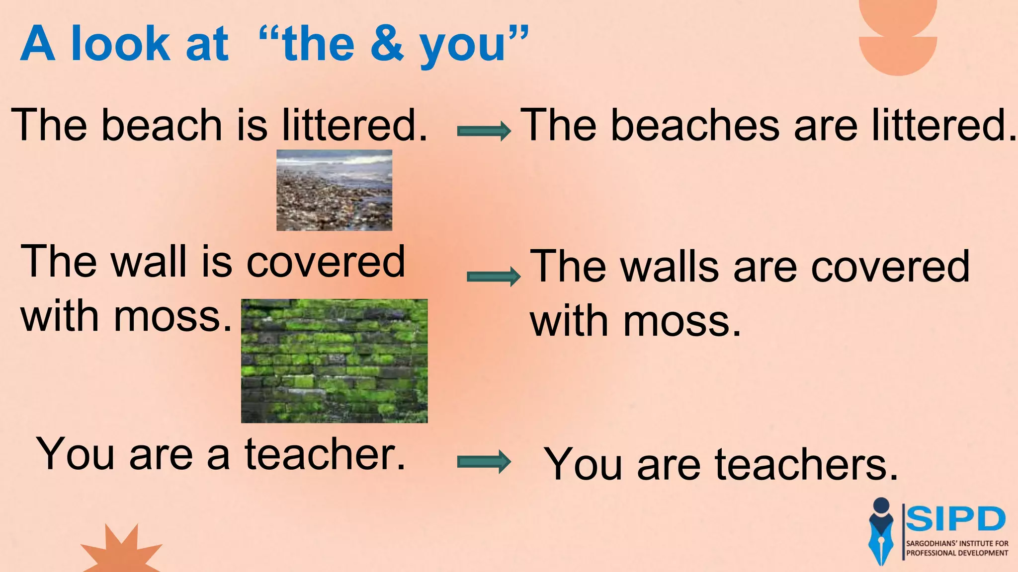A look at “the & you”
The beach is littered. The beaches are littered.
The wall is covered
with moss.
The walls are covered
with moss.
You are a teacher. You are teachers.
 