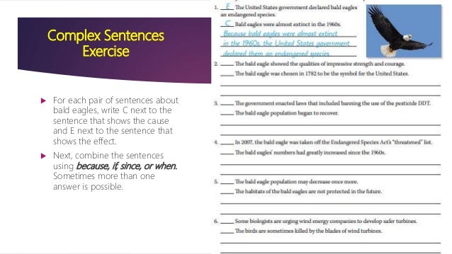 Sentence Structures And Vocabulary For Cause And Effect Essay
