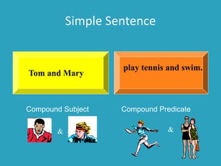 Simple Sentence
play tennis and swim.
Tom and Mary
Compound Subject Compound Predicate
& &
 