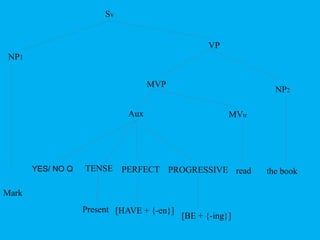 Sv 
NP1 
VP 
MVP 
NP2 
Aux 
YES/ NO Q TENSE PERFECT PROGRESSIVE 
MVtr 
read the book 
Mark 
Present [HAVE + {-en}] 
[BE + {-ing}] 
 
