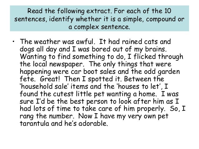 Sentence Types And Punctuation Revision