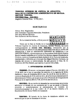 Sentencia decreto-amaya_04-07-2012