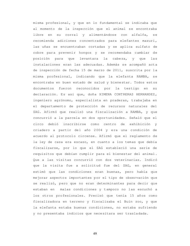 Sentencia Caso Elefante Ramba