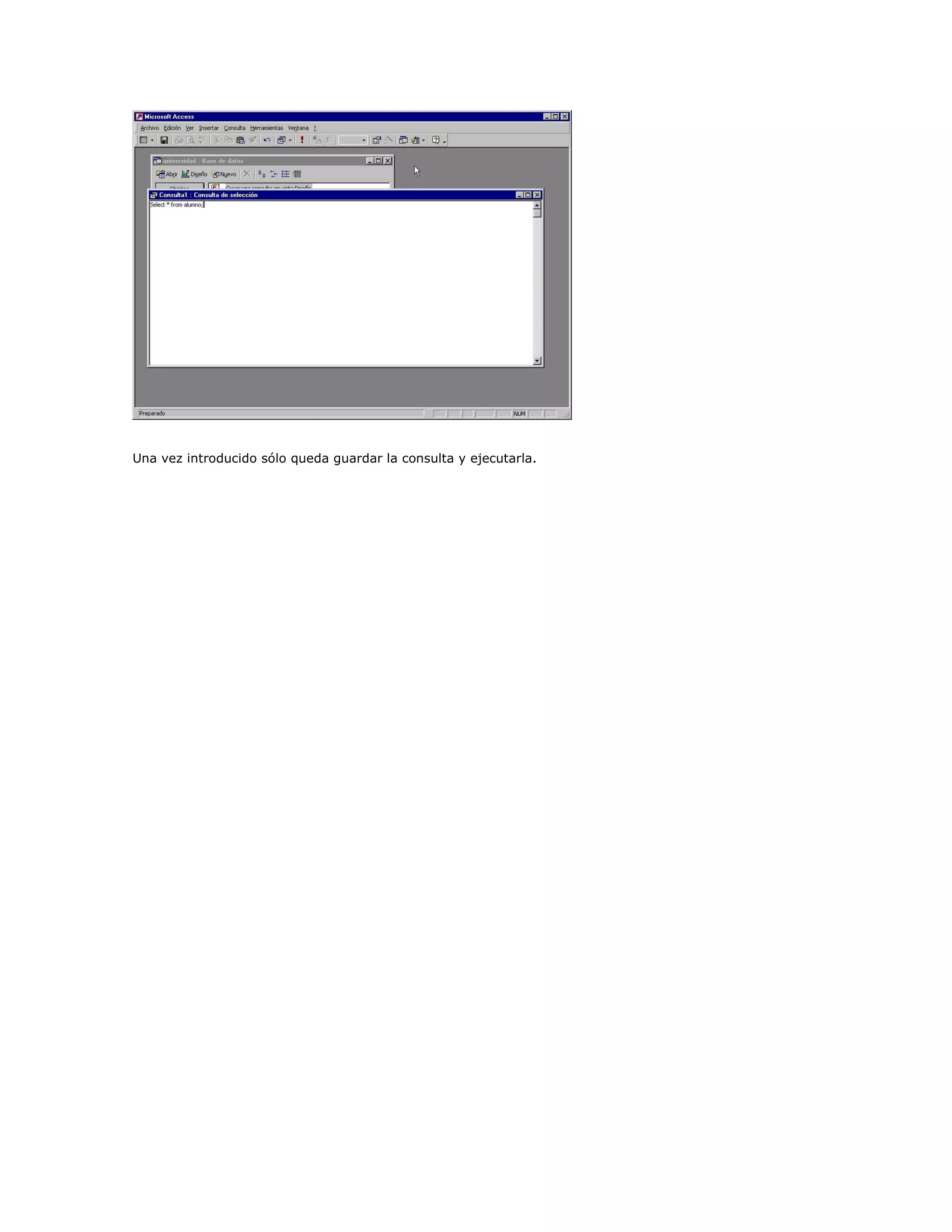 Una vez introducido sólo queda guardar la consulta y ejecutarla.
 