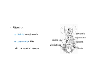 •  Uterus	
  :-­‐	
  
–  Pelvic	
  Lymph	
  node	
  
–  para-­‐aor$c	
  LNs	
  
	
  via	
  the	
  ovarian	
  vessels	
  
 