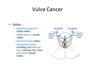 Vulva	
  Cancer	
  
•  Vulva	
  :-­‐	
  
–  Superﬁcial	
  inguinal	
  
lymph	
  nodes,	
  .	
  
–  Deep	
  inguinal	
  	
  Lymph	
  
nodes.	
  
–  Femoral	
  lymph	
  nodes..	
  
–  Deep	
  pelvic	
  nodes	
  
including;	
  the	
  external	
  
iliac,	
  common	
  iliac,	
  then	
  
para-­‐aor$c	
  lymph	
  
nodes.	
  
 