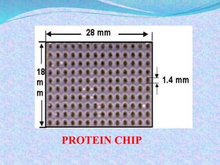 Proteomics and protein-protein interaction | PPTX