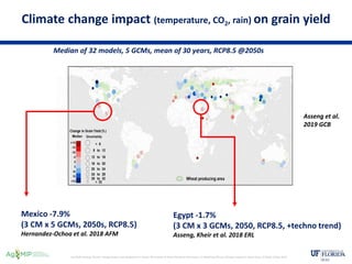 Climate change impact and adaptation in wheat | PPTX