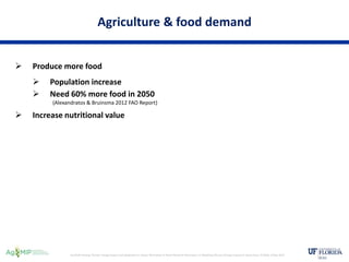 Increasing Need Climate change impact and adaptation in wheat | PPTX