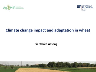Senthold Asseng, Climate change impact and adaptation in wheat, Workshop on Novel Research Dimensions in Modeling Climate ...