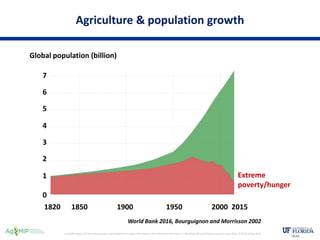 Senthold Asseng, Climate change impact and adaptation in wheat, Workshop on Novel Research Dimensions in Modeling Climate ...