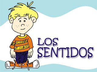 LOS 5 SENTIDOS