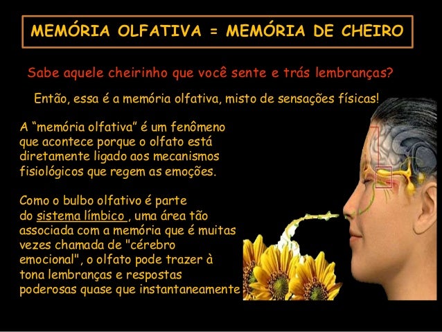 Resultado de imagem para memória olfativa