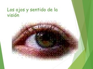Los ojos y sentido de la
visión
 