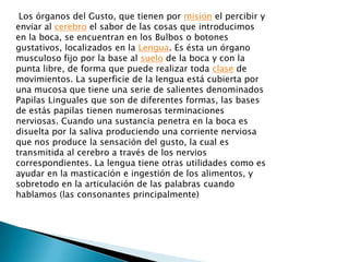 Los órganos del Gusto, que tienen por misión el percibir y
enviar al cerebro el sabor de las cosas que introducimos
en la boca, se encuentran en los Bulbos o botones
gustativos, localizados en la Lengua. Es ésta un órgano
musculoso fijo por la base al suelo de la boca y con la
punta libre, de forma que puede realizar toda clase de
movimientos. La superficie de la lengua está cubierta por
una mucosa que tiene una serie de salientes denominados
Papilas Linguales que son de diferentes formas, las bases
de estás papilas tienen numerosas terminaciones
nerviosas. Cuando una sustancia penetra en la boca es
disuelta por la saliva produciendo una corriente nerviosa
que nos produce la sensación del gusto, la cual es
transmitida al cerebro a través de los nervios
correspondientes. La lengua tiene otras utilidades como es
ayudar en la masticación e ingestión de los alimentos, y
sobretodo en la articulación de las palabras cuando
hablamos (las consonantes principalmente)
 