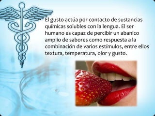 • El gusto actúa por contacto de sustancias
  químicas solubles con la lengua. El ser
  humano es capaz de percibir un abanico
  amplio de sabores como respuesta a la
  combinación de varios estímulos, entre ellos
  textura, temperatura, olor y gusto.
 