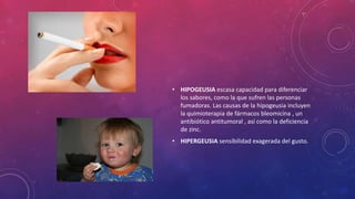 • HIPOGEUSIA escasa capacidad para diferenciar
los sabores, como la que sufren las personas
fumadoras. Las causas de la hipogeusia incluyen
la quimioterapia de fármacos bleomicina , un
antibiótico antitumoral , así como la deficiencia
de zinc.
• HIPERGEUSIA sensibilidad exagerada del gusto.
 