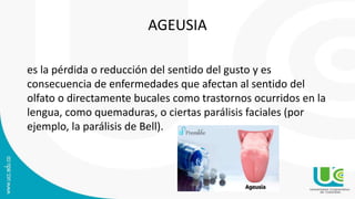 AGEUSIA
es la pérdida o reducción del sentido del gusto y es
consecuencia de enfermedades que afectan al sentido del
olfato o directamente bucales como trastornos ocurridos en la
lengua, como quemaduras, o ciertas parálisis faciales (por
ejemplo, la parálisis de Bell).
 