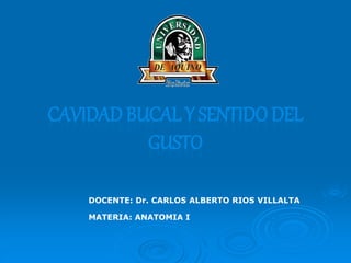 CAVIDAD BUCAL Y SENTIDO DEL
GUSTO
DOCENTE: Dr. CARLOS ALBERTO RIOS VILLALTA
MATERIA: ANATOMIA I
 