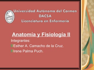 Anatomía y Fisiología II
Integrantes:
  Esther A. Camacho de la Cruz.
  Irene Palma Puch.
 
