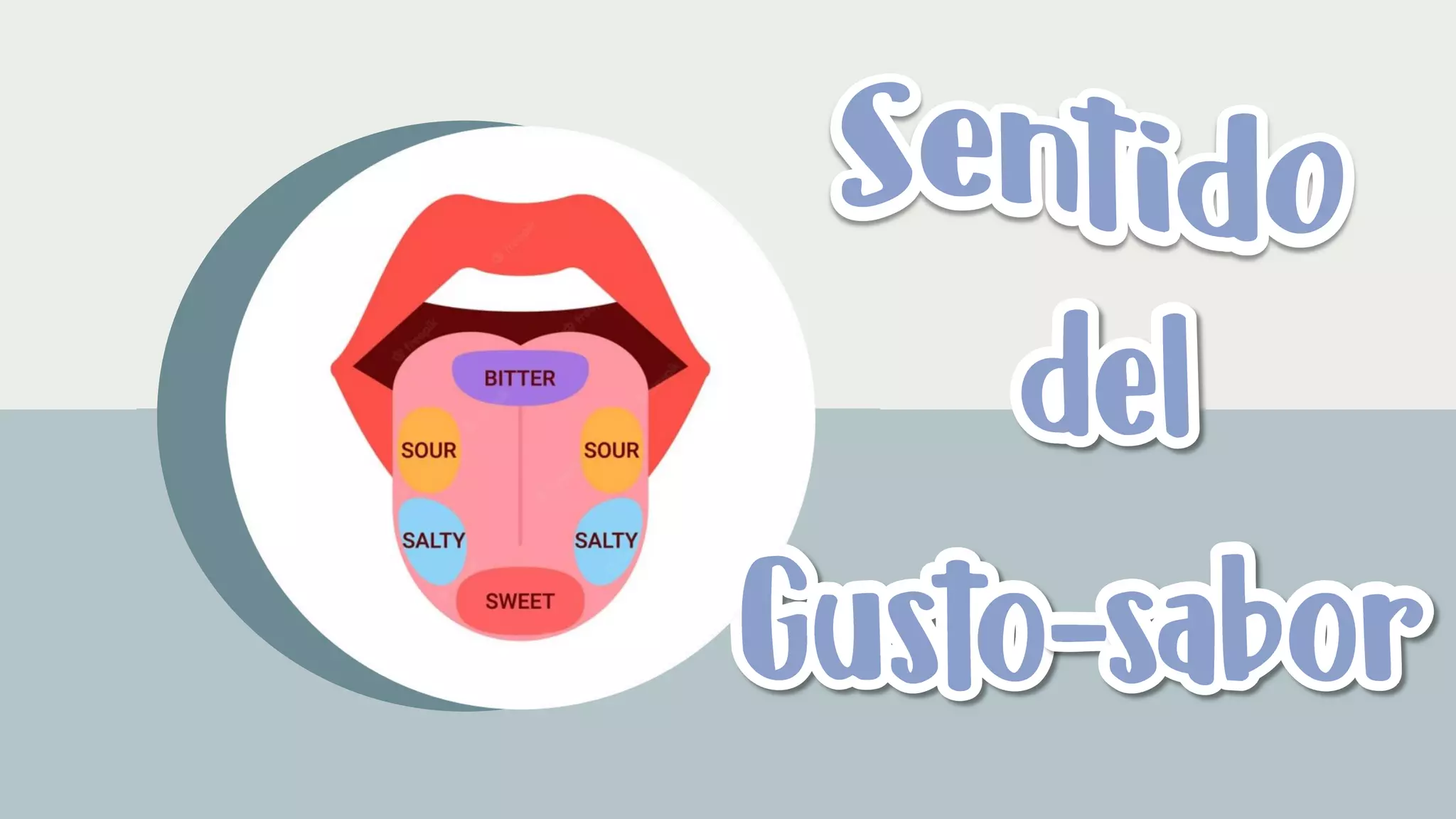 Sentido del gusto-sabor.pdf